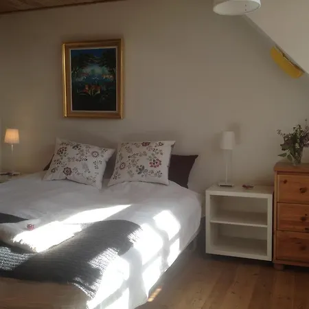 فندق مبيت وإفطار Lundshojgaard